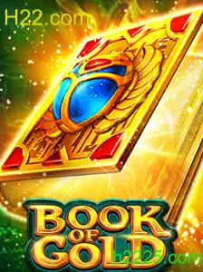 Descubra o Fascinante Mundo de BookofGold no H22.com